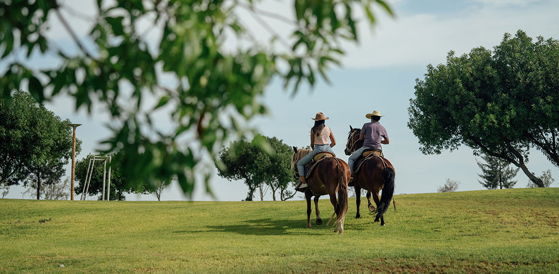 P-Item-galeria-Caballos-HaceindaLaJoya-1100x540px