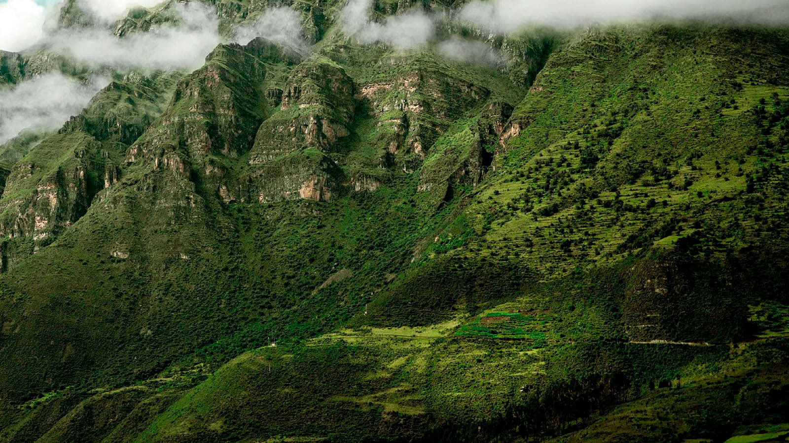 Proyecto-Portada-Amaru-1600x900px